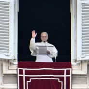 Editors choices image #8