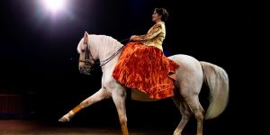 Gipsy (Cirque Gruss) : “Nous faisons notre signe de croix avant d’entrer sur la piste”