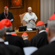 Editors choices image #4