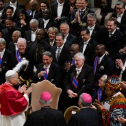 Editors choices image #8