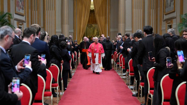 pope-leo-xiv-meeting-members-diplomatic-corps
