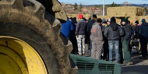Colère agricole : les agriculteurs ne désarment pas