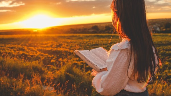 Corner Item Image - Dans l’épreuve, vivre la promesse des Béatitudes