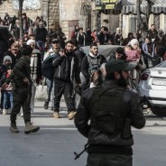 Editors choices image #1