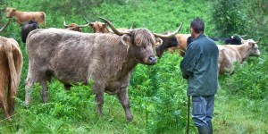 Salon de l’agriculture : “Osons le bon sens paysan”