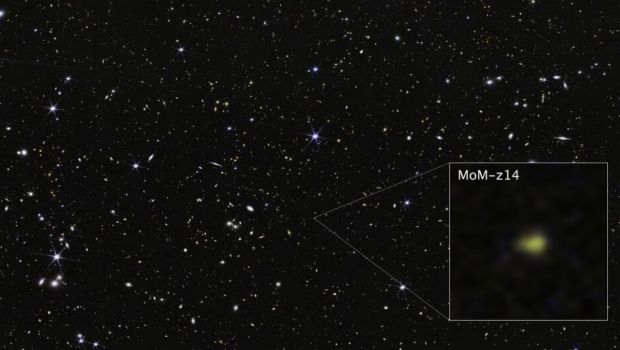 Galaxie-MoM-z14-du-champ-COSMOS-image-extraite-de-la-camera-NIRCam