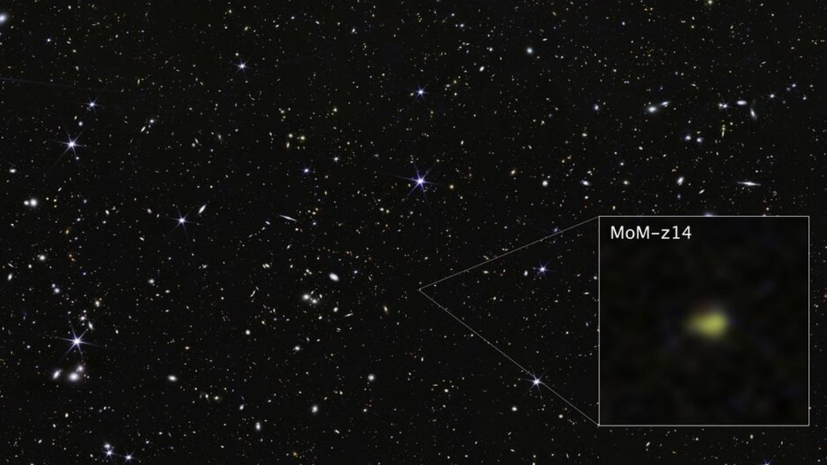 Galaxie-MoM-z14-du-champ-COSMOS-image-extraite-de-la-camera-NIRCam