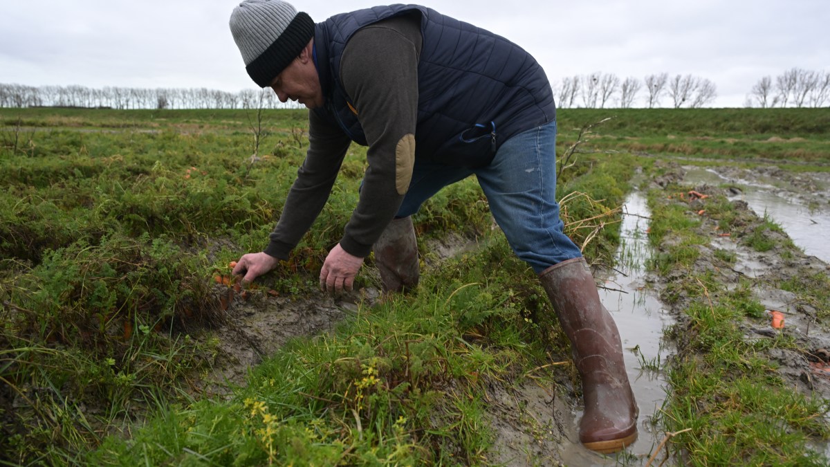 agriculteur-inondation-france-afp