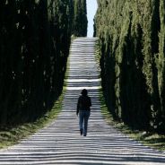 Editors choices image #0