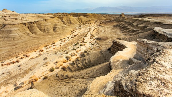 desert-careme-judee-shutterstock