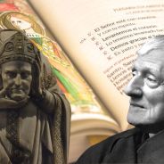 Editors choices image #4