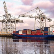 Editors choices image #1