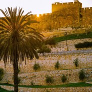 Editors choices image #2