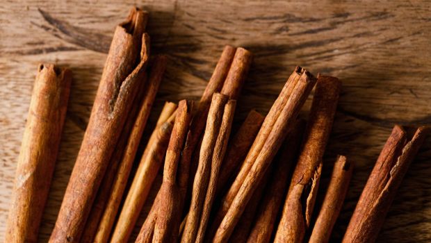 plante-biblique-cinnamome-cannelier-canelle-shutterstock