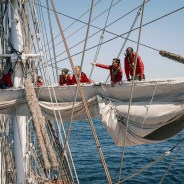 Editors choices image #6