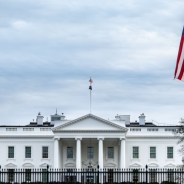 Stickers Item image #7