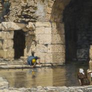 Stickers Item image #8