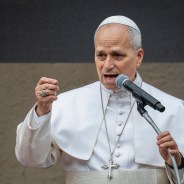 Editors choices image #3