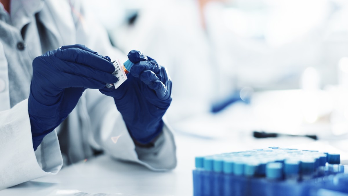 ADN-scientifique.jpg