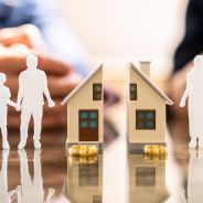 Editors choices image #8