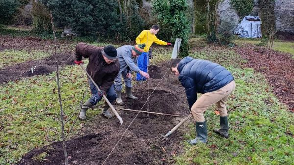 ETOILE-NOTRE-DAME-PLANTATION-ARBRES-ECOLOGIE