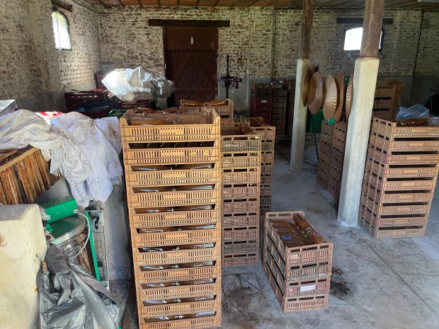 Le Verger de Morchies (Hauts-de-France)