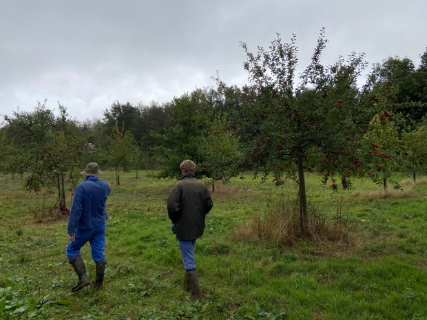 Le Verger de Morchies (Hauts-de-France)