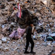 Editors choices image #6