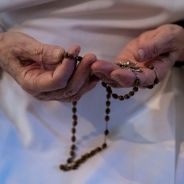 Editors choices image #4