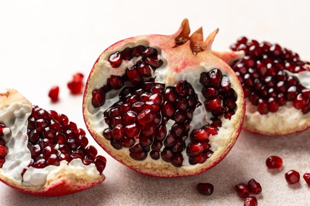interieur-greande-fruit-bible-shutterstock