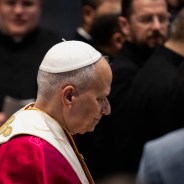 Editors choices image #4