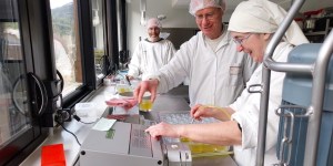À Aiguebelle, le célèbre baume des moines devient 100% naturel