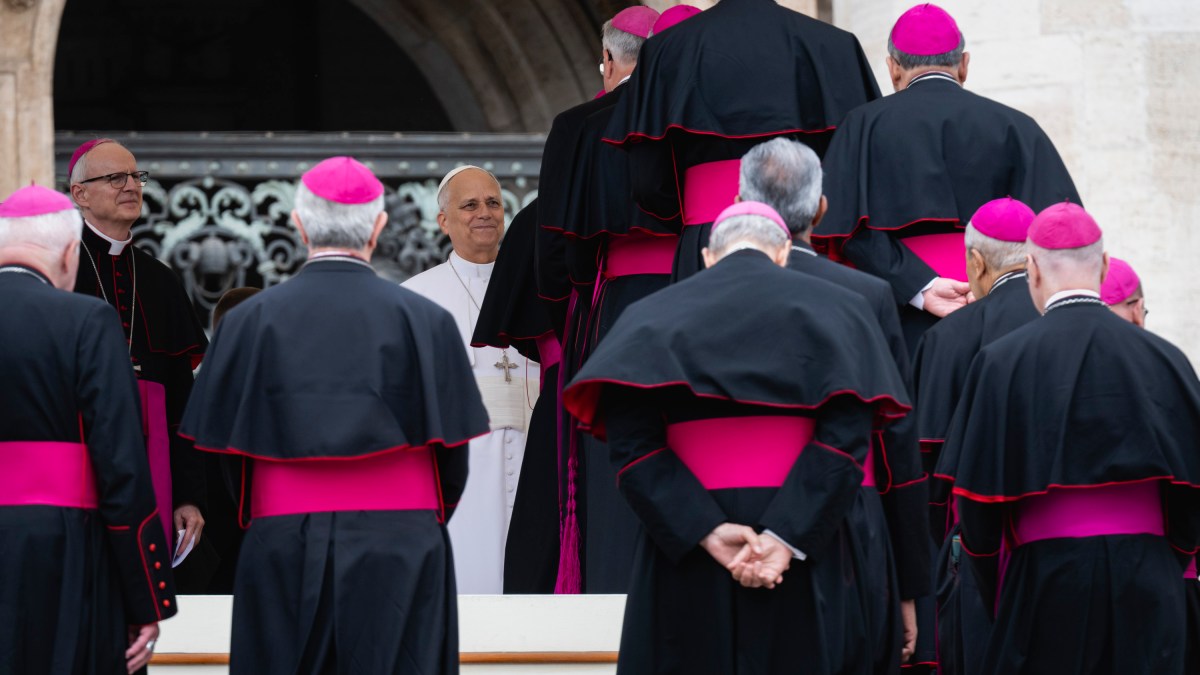 pope-leo-xiv-audience-xiv-may-13