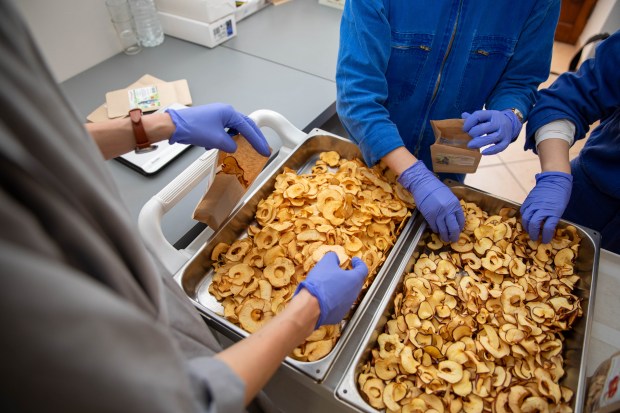 L’atelier est artisanal, les chips préparées et mis en sachet à la main par une sœur. Les quantités sont donc modestes en cette période de rodage : 3.000 sachets vendus depuis le lancement fin 2025.