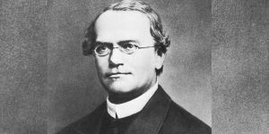 Gregor Mendel, le moine qui a révolutionné la science avec des petits pois