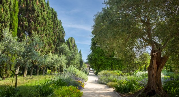 Depuis près de 500 ans, cet Hortus Redemptoris est le jardin des frères capucins de l'église du Très Saint Rédempteur, et abrite de nombreuses espèces végétales, des cerisiers, des mûriers, du romarin et bien d’autres plantes médicinales.