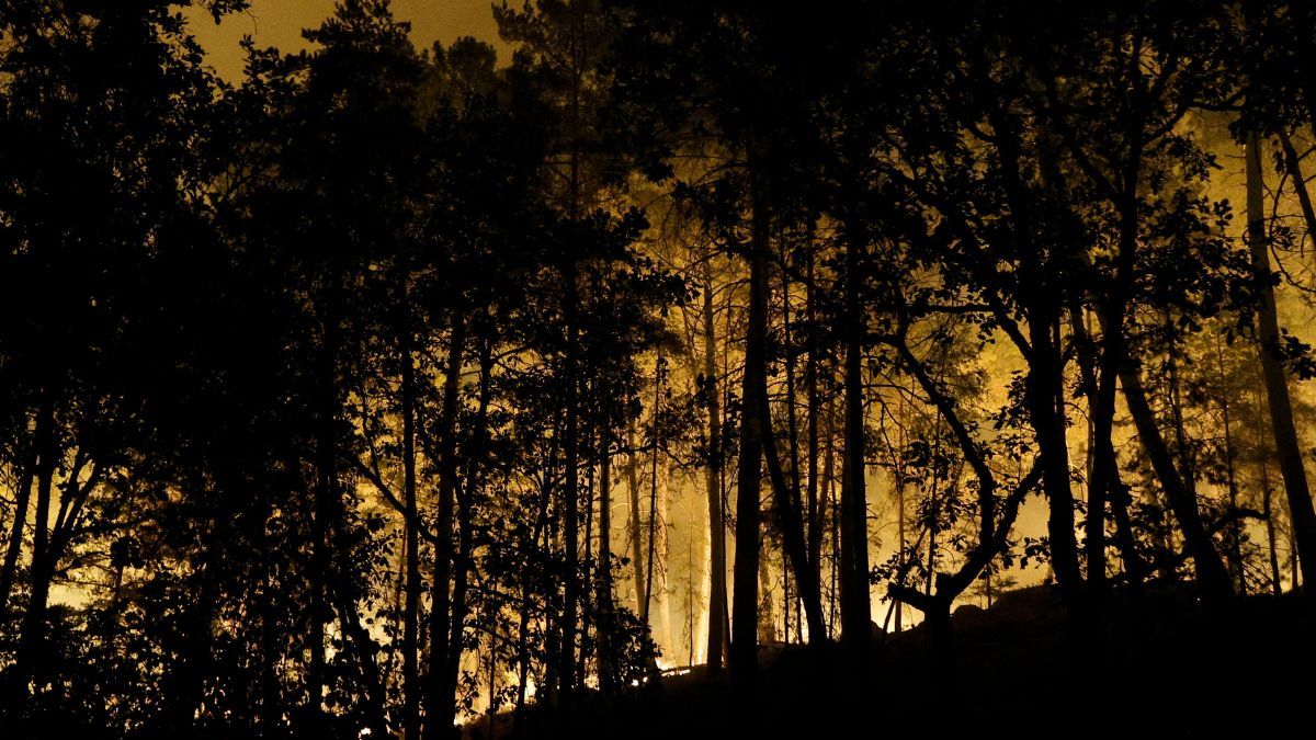 incendie Fontainebleau