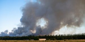 Ces sinistres incendies de forêt, cicatrices dans les esprits et dans les corps