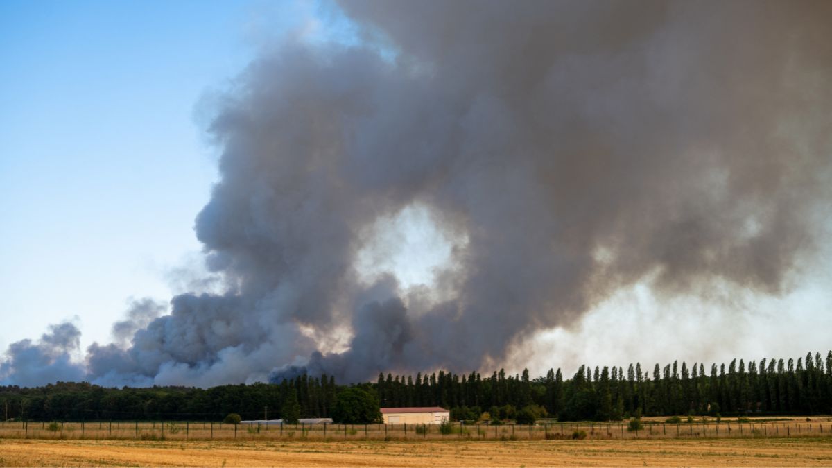 incendies France