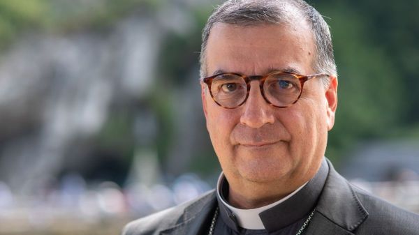 Mgr Micas